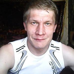 Александр, 37 лет, Сокол