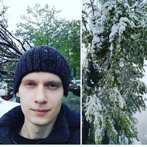 Андрей, 39 лет, Ярославль