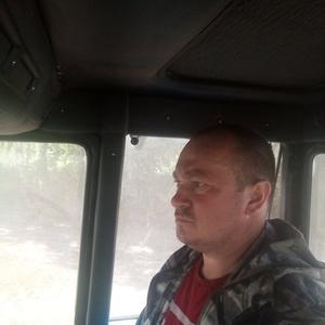 Александр, 45 лет, Мамонтово