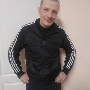 Андрей, 41 год, Киров