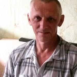 Александр Лобачев, 67 лет, Кинешма