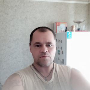 Дмитрий, 49 лет, Гусь-Хрустальный