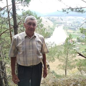 Владимир Шушпанов, 72 года, Уфа