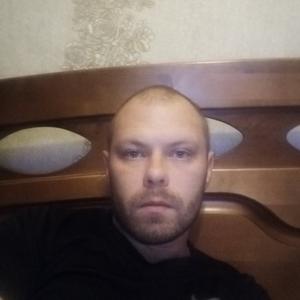 Рябинин, 41 год, Вологда