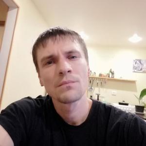 Сергей, 38 лет, Томск