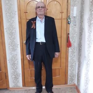 Рафис, 69 лет, Набережные Челны