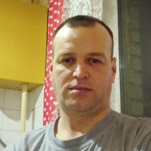 Alex, 35 лет, Вологда