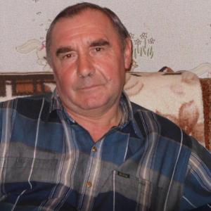 Николай Кондрашов, 67 лет, Абрамцево