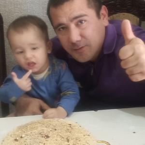 Акром, 37 лет, Ташкент