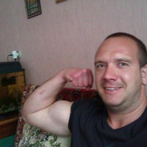 Алексей, 43 года, Коренево