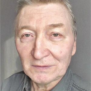 Николай, 73 года, Красноярск