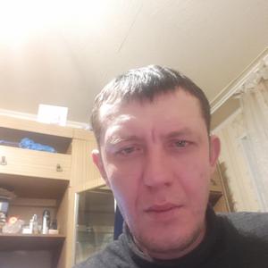 Тимур, 36 лет, Нижнекамск