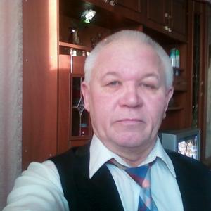 Владимир Бармаков, 74 года, Красногорский