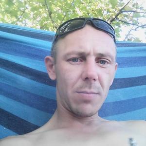 Андрей, 42 года, Барнаул