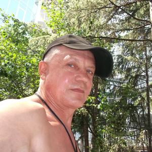 Геннадий, 66 лет, Тула