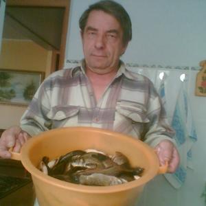 Валерий, 70 лет, Уфа