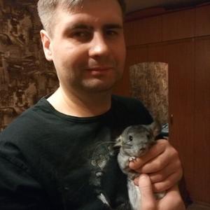 Никита Кузнецов, 33 года, Владимир