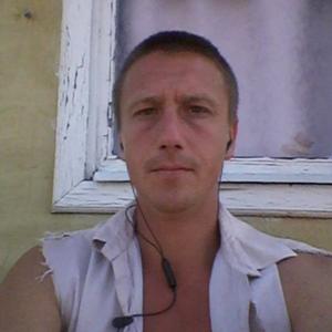 Алексей, 41 год, Сокол