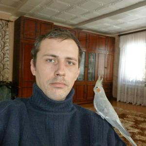 Герасимов Алексей, 42 года, Кострома