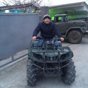 Казимир, 23 года, Краснодар