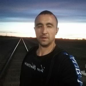 Максим Петрович Педелев, 36 лет, Славгород