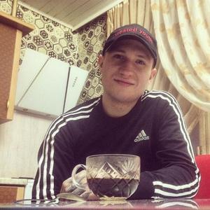 Serj, 28 лет, Кострома