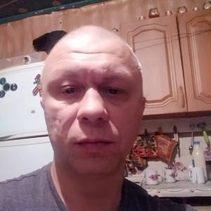 Фёдор, 44 года, Тюмень