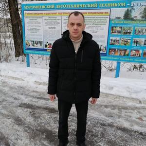 Егор, 33 года, Владимир