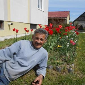 Сергей, 68 лет, Минск