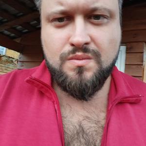 Павел, 38 лет, Мурманск