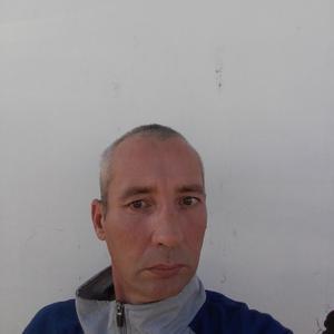 Андрей, 46 лет, Димитровград