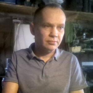 Николай Сашнев, 54 года, Тюмень