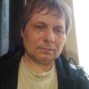 Александр, 54 года, Ногинск
