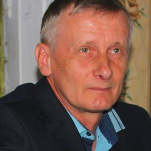 Алексей Петров, 67 лет, Великий Новгород