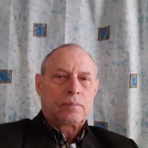 Владислав Михайлович, 77 лет, Муром