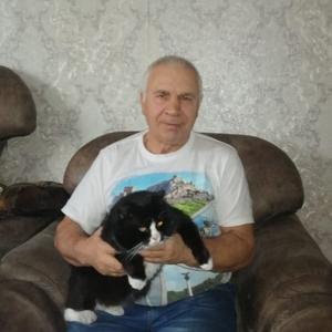 Mikkail, 66 лет, Хабаровск