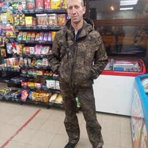 Владимир, 42 года, Тюмень