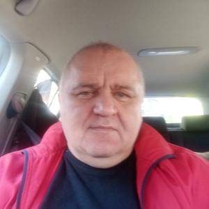 Александр Федоров, 53 года, Новочеркасск