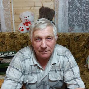 Виктор, 72 года, Заполярный