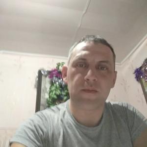Александр Копылов, 45 лет, Заокский