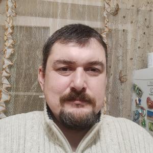Алексей, 43 года, Железногорск