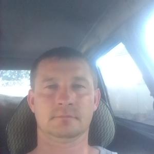 Геннадий, 41 год, Липецк