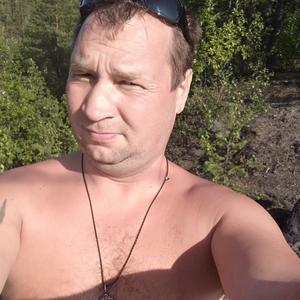Николай, 49 лет, Кандалакша
