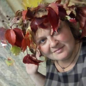 Елена Евсеева, 48 лет, Тюмень