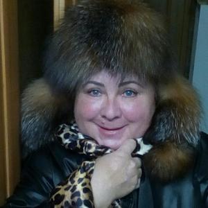 Елена, 66 лет, Череповец