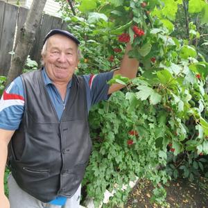 Володя Омелянюк, 68 лет, Сухобузимское