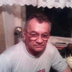 Сергей Фомичёв, 64 года, Вязьма