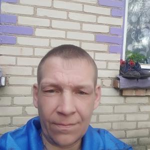 Дмитрий, 46 лет, Новополоцк