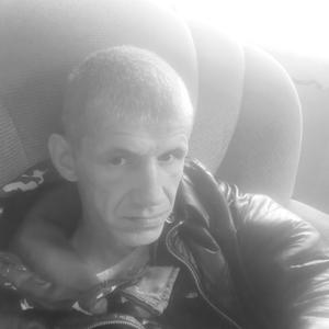 Андрей, 41 год, Елизово