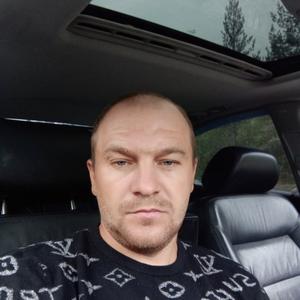 Aleksandr Petrov, 35 лет, Мурманск